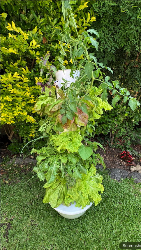 ¡Súper fácil y gratificante!