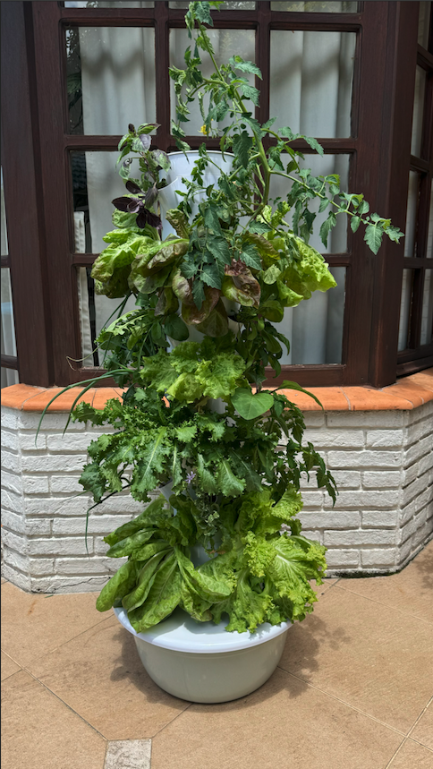 Fácil, práctico y sin esfuerzo