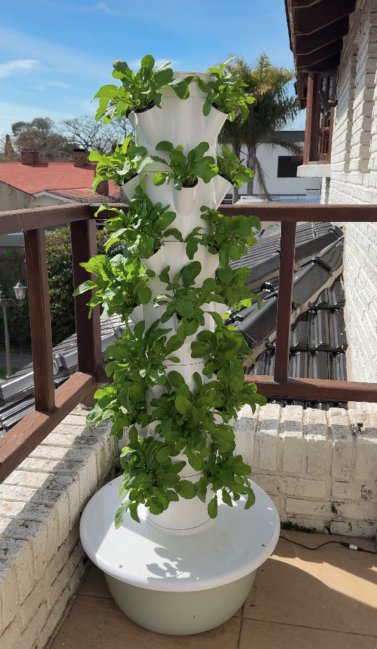 Decorativo e increíble